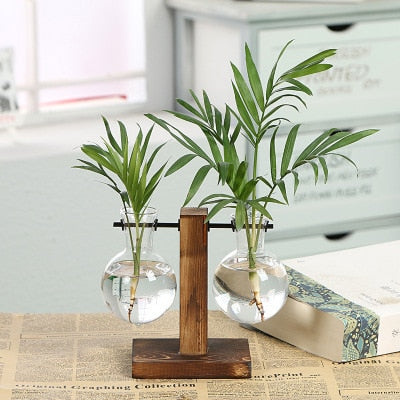 Hydroponic transparent glass plant vases with wooden stand, two clear bulbs, and green plants
