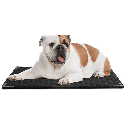 BALAPET XS Durable Chew Proof Dog Bed with Metal Rivet Corner 23"x17" - Renee Lane Company