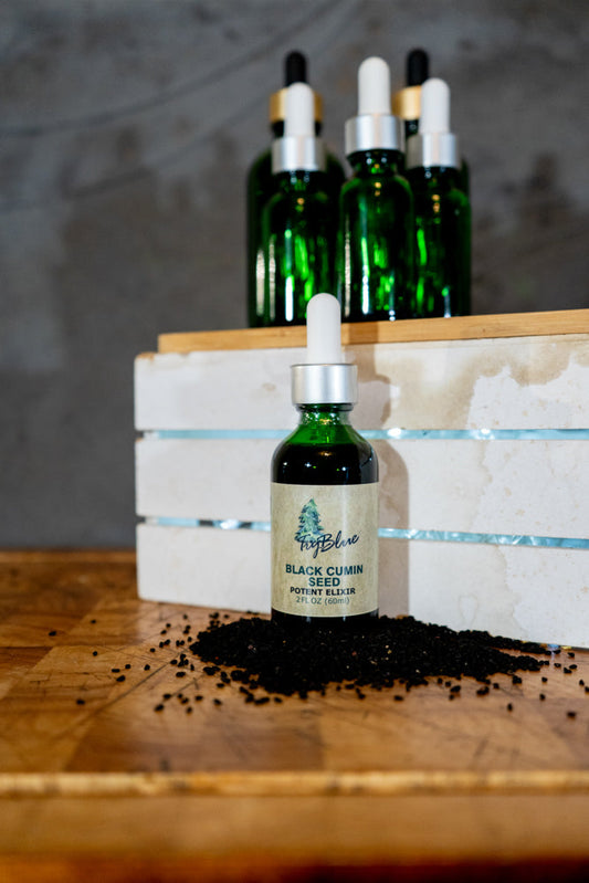 Black Cumin Seed Elixir - Renee Lane Company