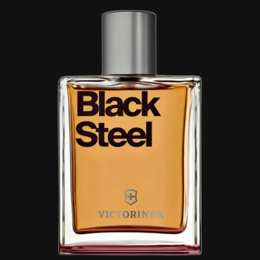 Black Steel By Victorinox Cologne for Men - Renee Lane Company