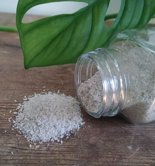Clay Body Soak - Boss Lady - Renee Lane Company