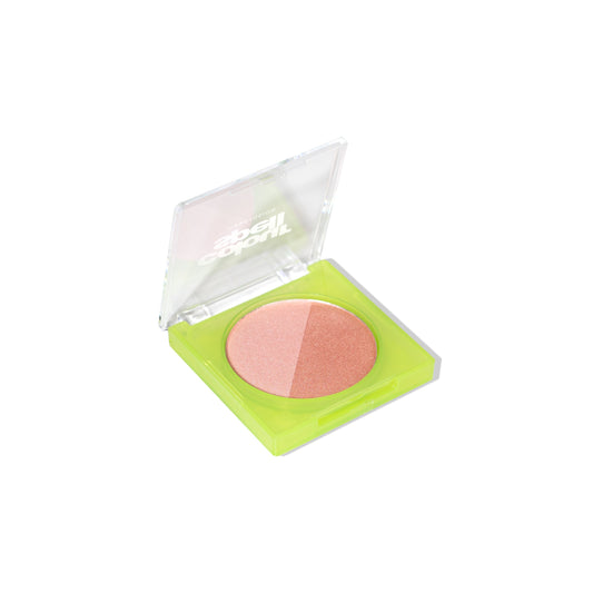 Clean Girl Collection- Highlight, Setting, Blush and Brush - Renee Lane Company