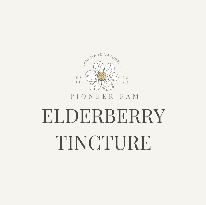 Elderberry Tincture: Immune System Support - Renee Lane Company