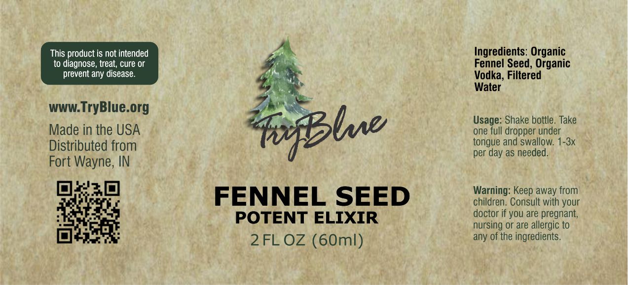 Fennel Seed Elixir - Renee Lane Company