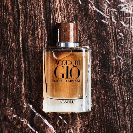 Free 100ml with Giorgio Armani Acqua Di Giò Absolu 125ml – Limited-Time Premium Offer - Renee Lane Company