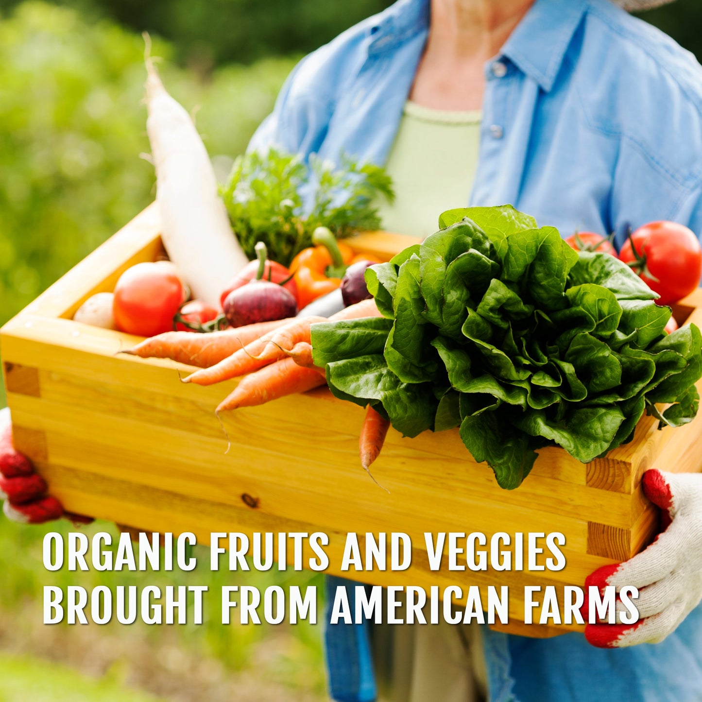Fruit & Veggie - Renee Lane Company