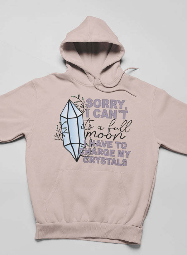 I Have To Charge My Crystals Hoodie - Renee Lane Company