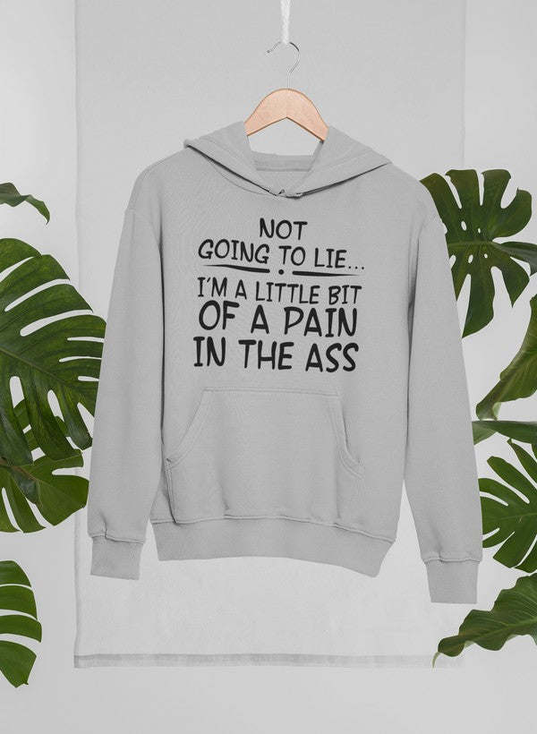 I'm Not Going To Lie Hoodie - Renee Lane Company