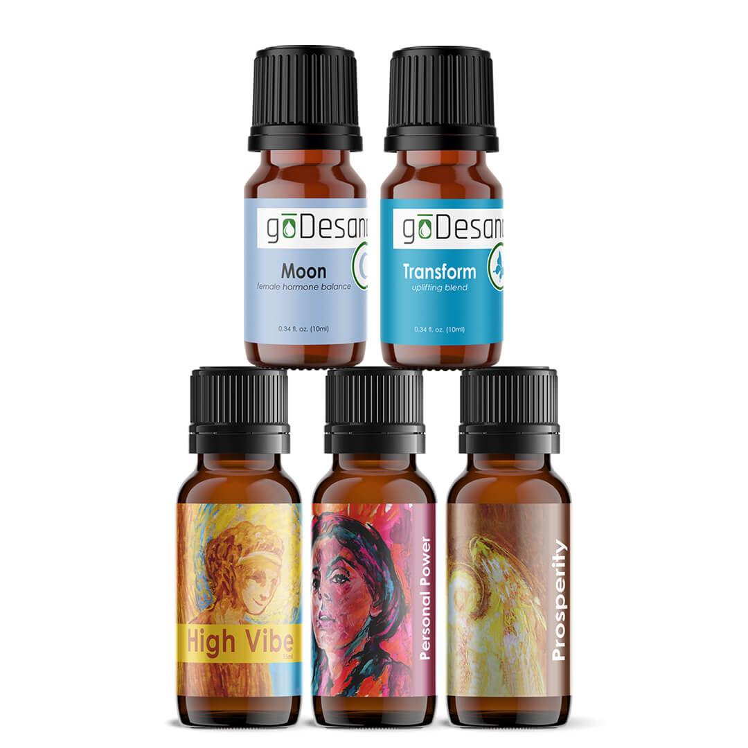 It Girl Essential Oil Kit - Renee Lane Company