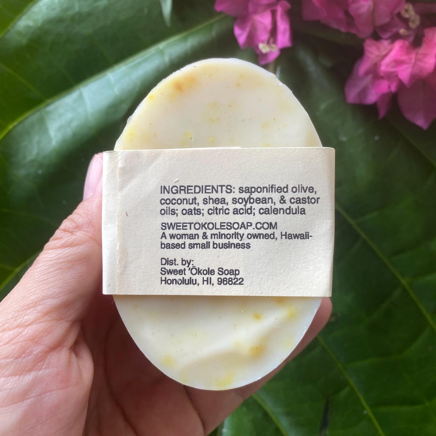 Natural Pet Shampoo, Sensitive Skin Dog & Cat Soap, Gentle Unscented Pet Wash - Renee Lane Company