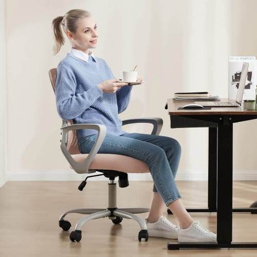 Office Mid Back Ergonomic Mesh Computer Desk Larger Seat Executive Height Adjustable Swivel Task Chair with Lumbar Support - Renee Lane Company