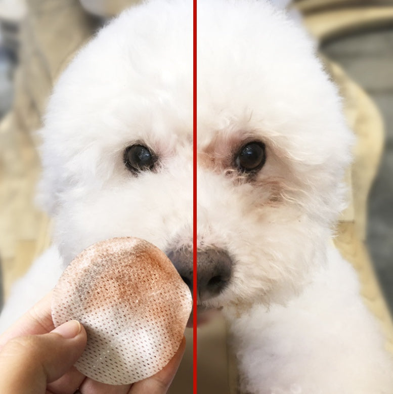 Pets to tears wipes Teddy Bear Xiong Bomei cat eyes tear stains cleaning paper towels pet supplies 100 pieces - Renee Lane Company
