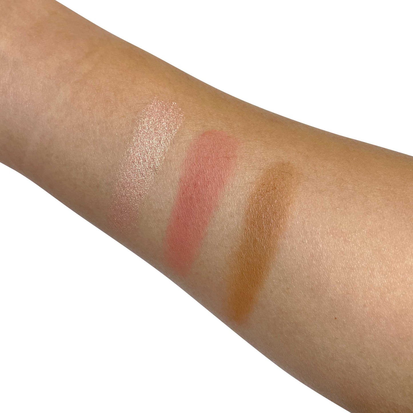 Pro Cheek Palette - Curious - Renee Lane Company