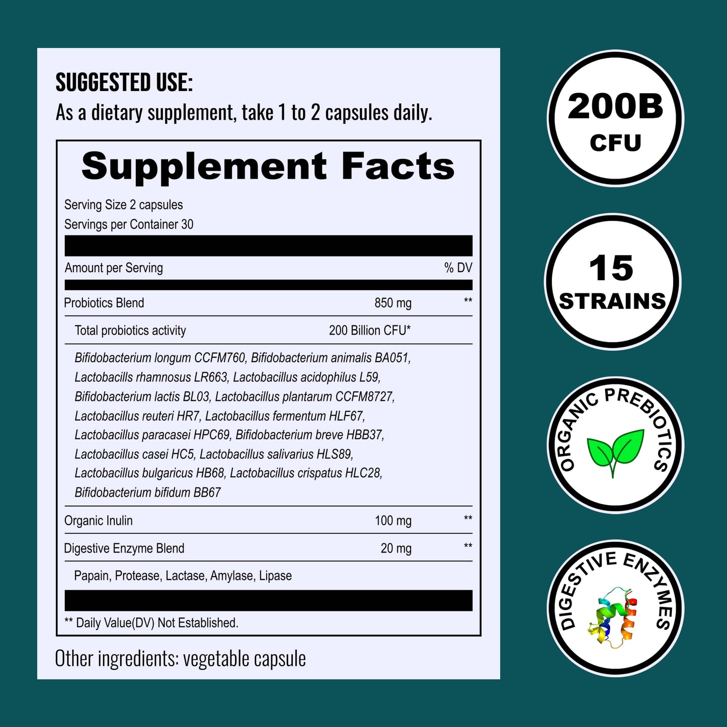 Probiotics 200B CFU - Renee Lane Company