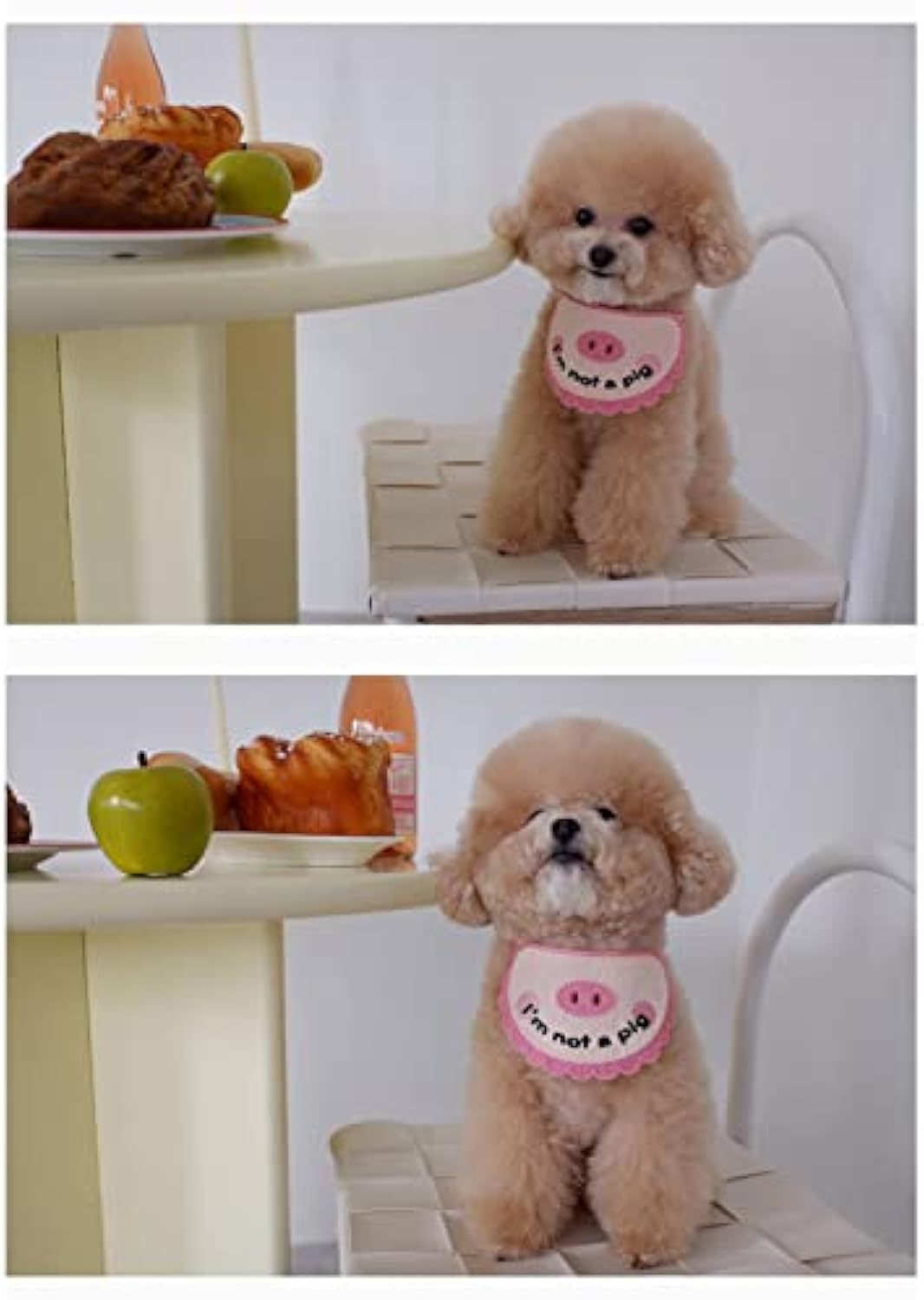Pink crocheted pet saliva towel with pig face worn by tan dog
