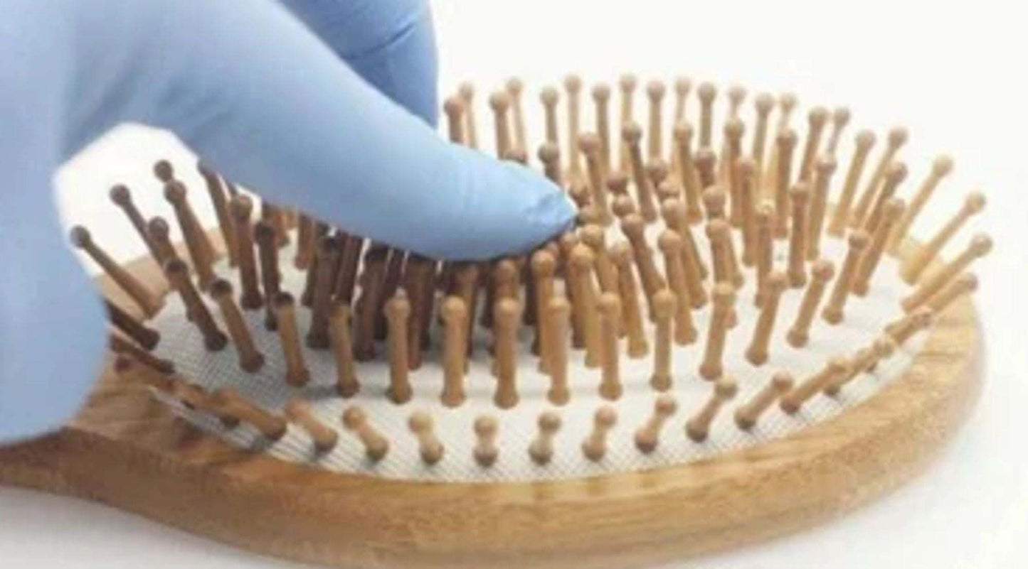 Wood detangling hair brush with dense white pin bristles and cushioned base