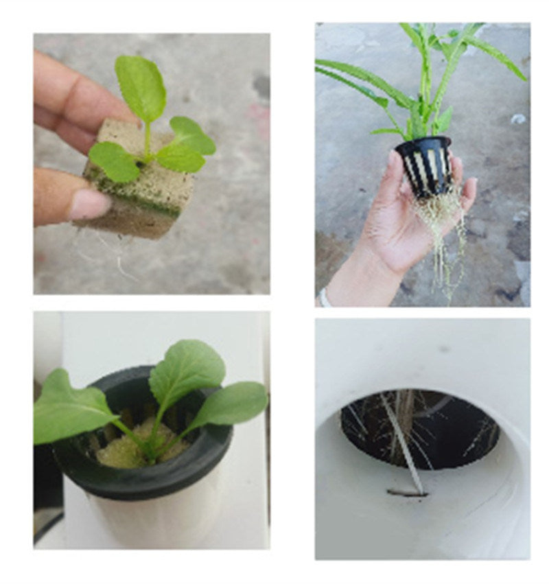 Black net pots with young leafy seedlings in hydroponic tower holes