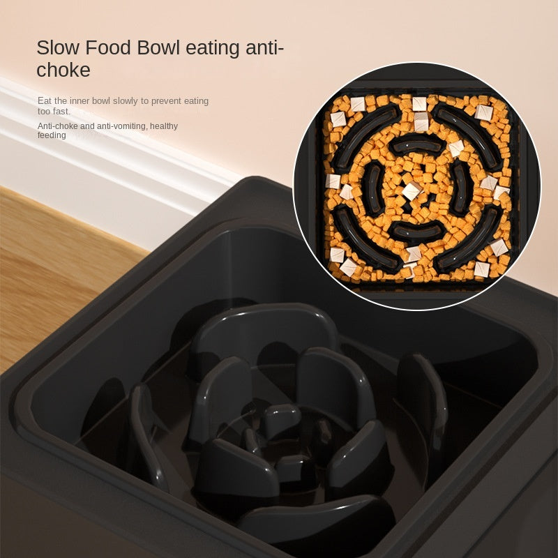 Slow-feed elevated dog bowl with raised channels and paw-print drain motif