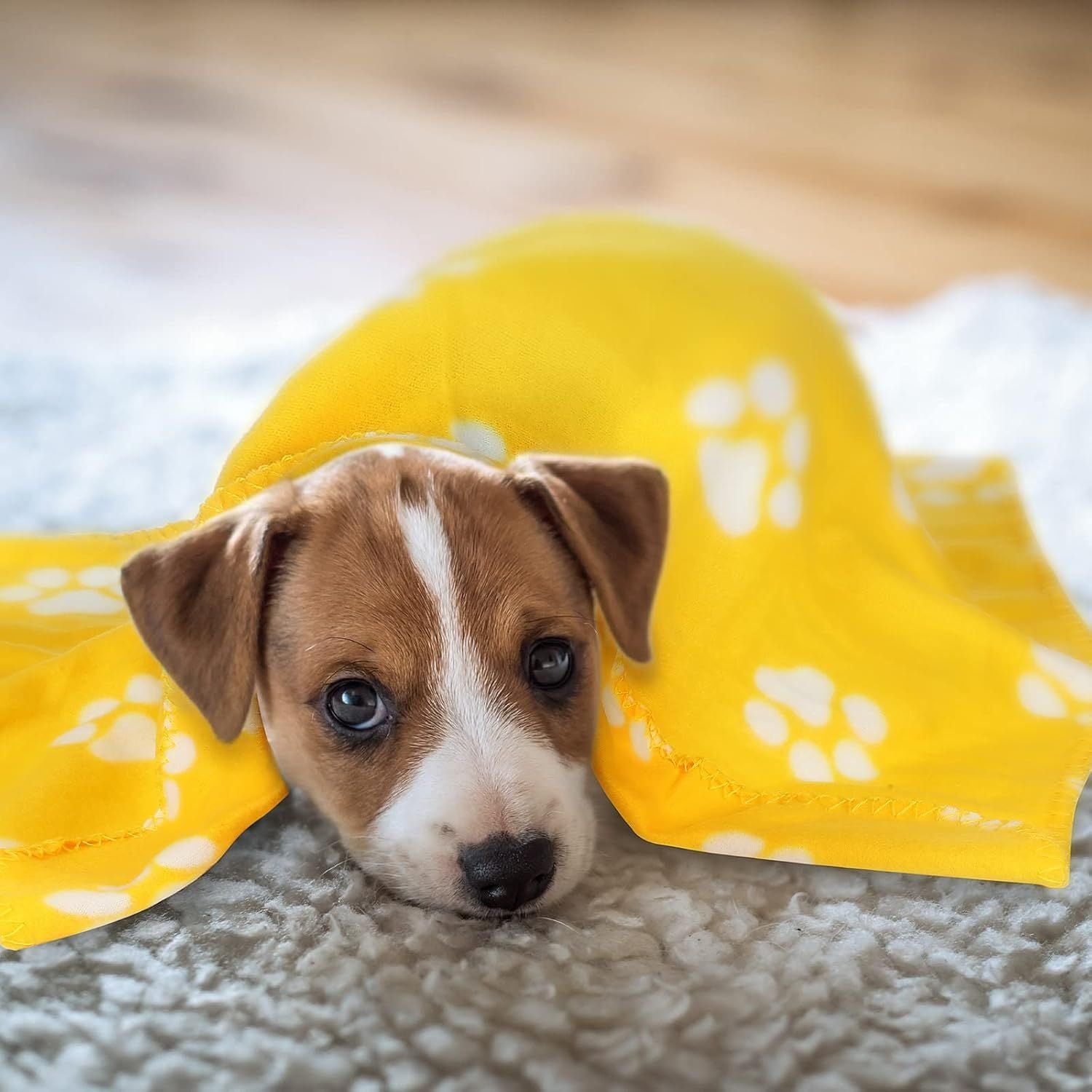 10 Pieces Pet Blankets with Paw Print Dog Cat Fleece Blankets Soft Warm Sleep Mat Pad Bed Cover for Kitten Puppy and Other Small Animals, 24 x 28 Inch - Renee Lane Company