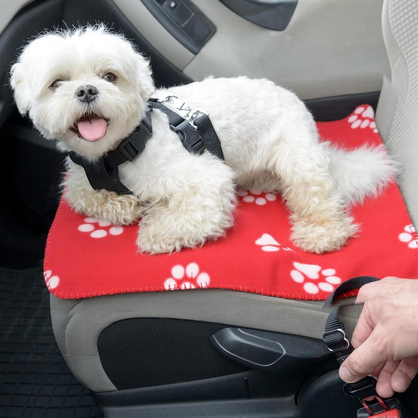 10 Pieces Pet Blankets with Paw Print Dog Cat Fleece Blankets Soft Warm Sleep Mat Pad Bed Cover for Kitten Puppy and Other Small Animals, 24 x 28 Inch - Renee Lane Company