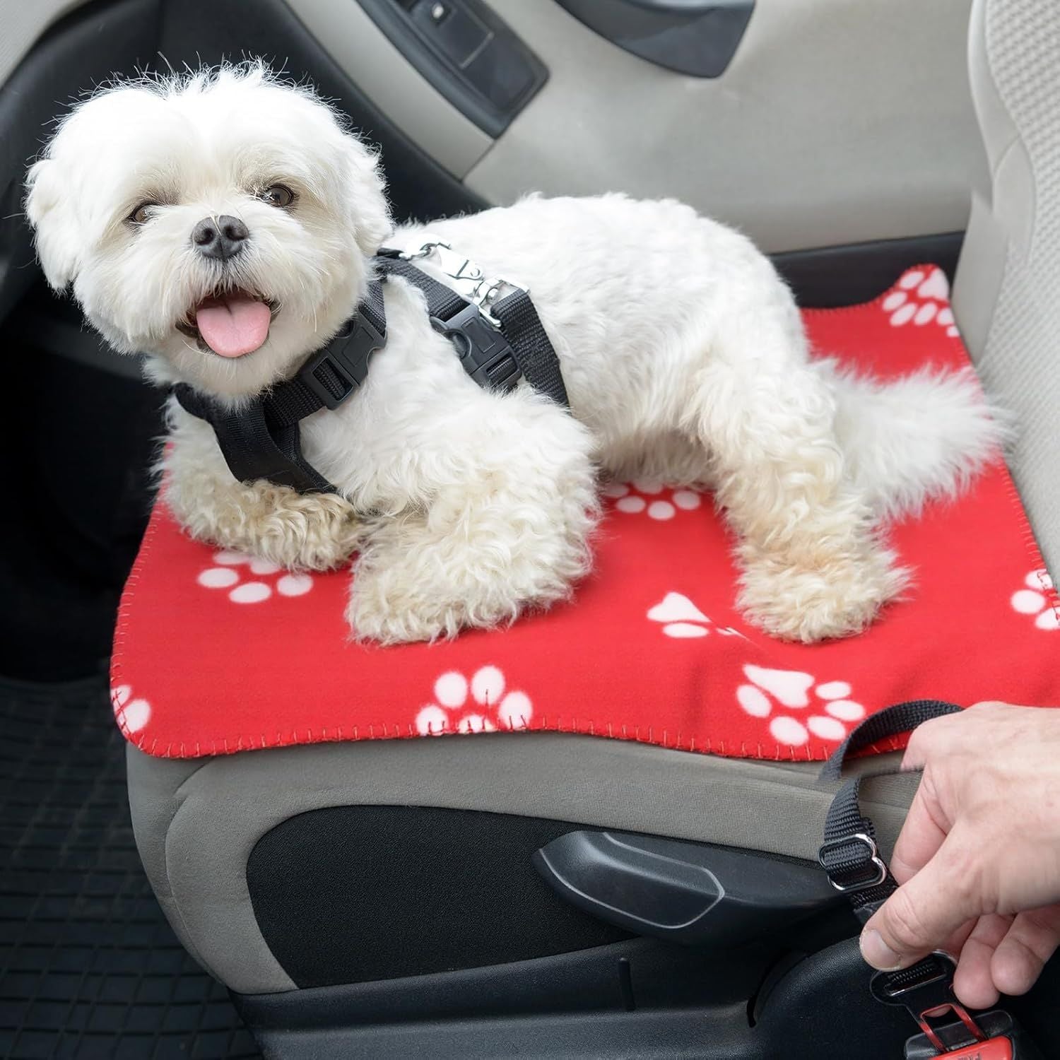 10 Pieces Pet Blankets with Paw Print Dog Cat Fleece Blankets Soft Warm Sleep Mat Pad Bed Cover for Kitten Puppy and Other Small Animals, 24 x 28 Inch - Renee Lane Company