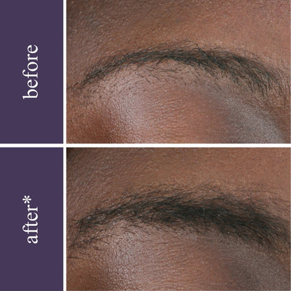 Lash & Brow Wonder Bundle