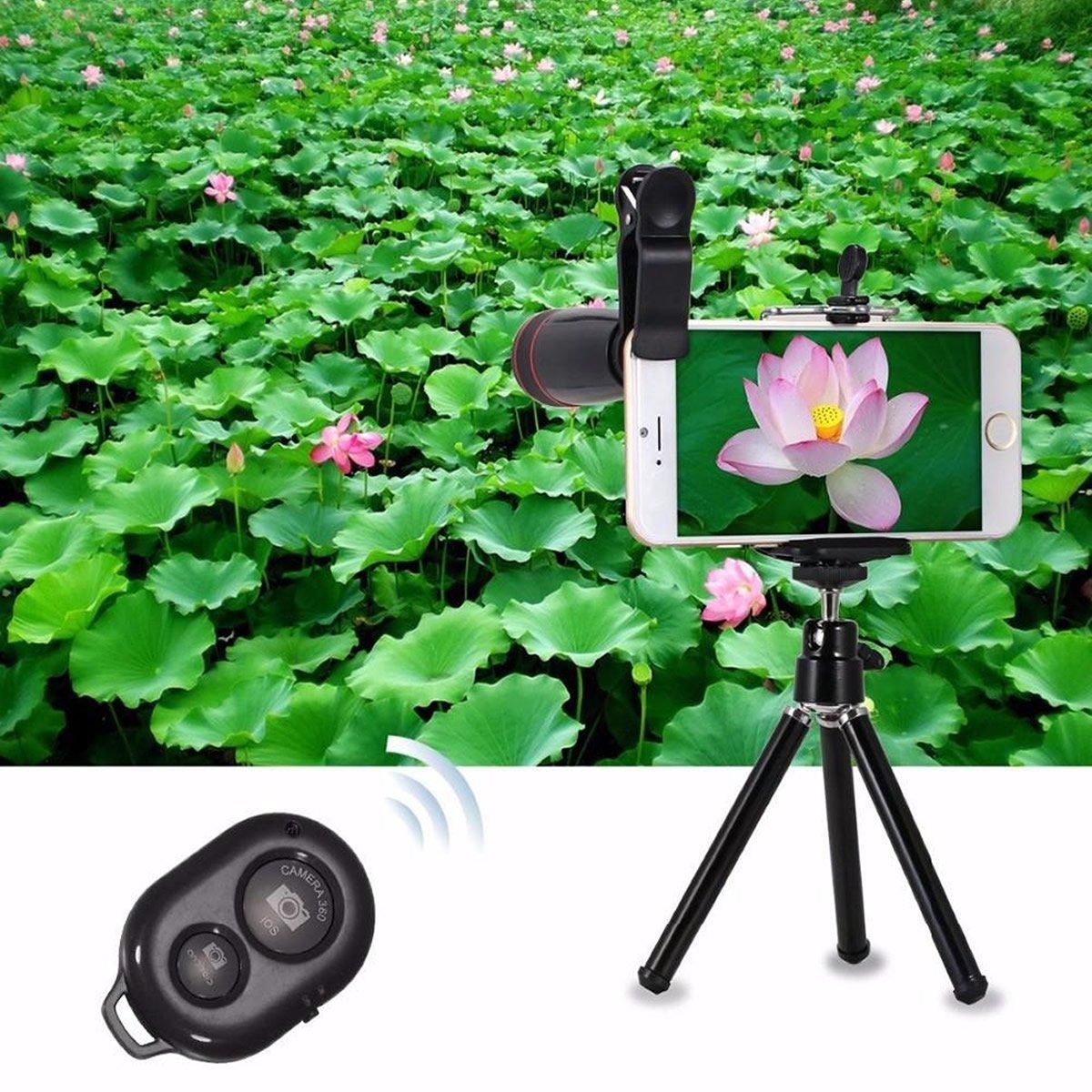 11 in 1 Smartphone Camera Lens Kit - Renee Lane Company