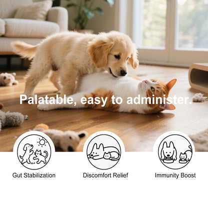 Pet Teeth Cleaning Powder