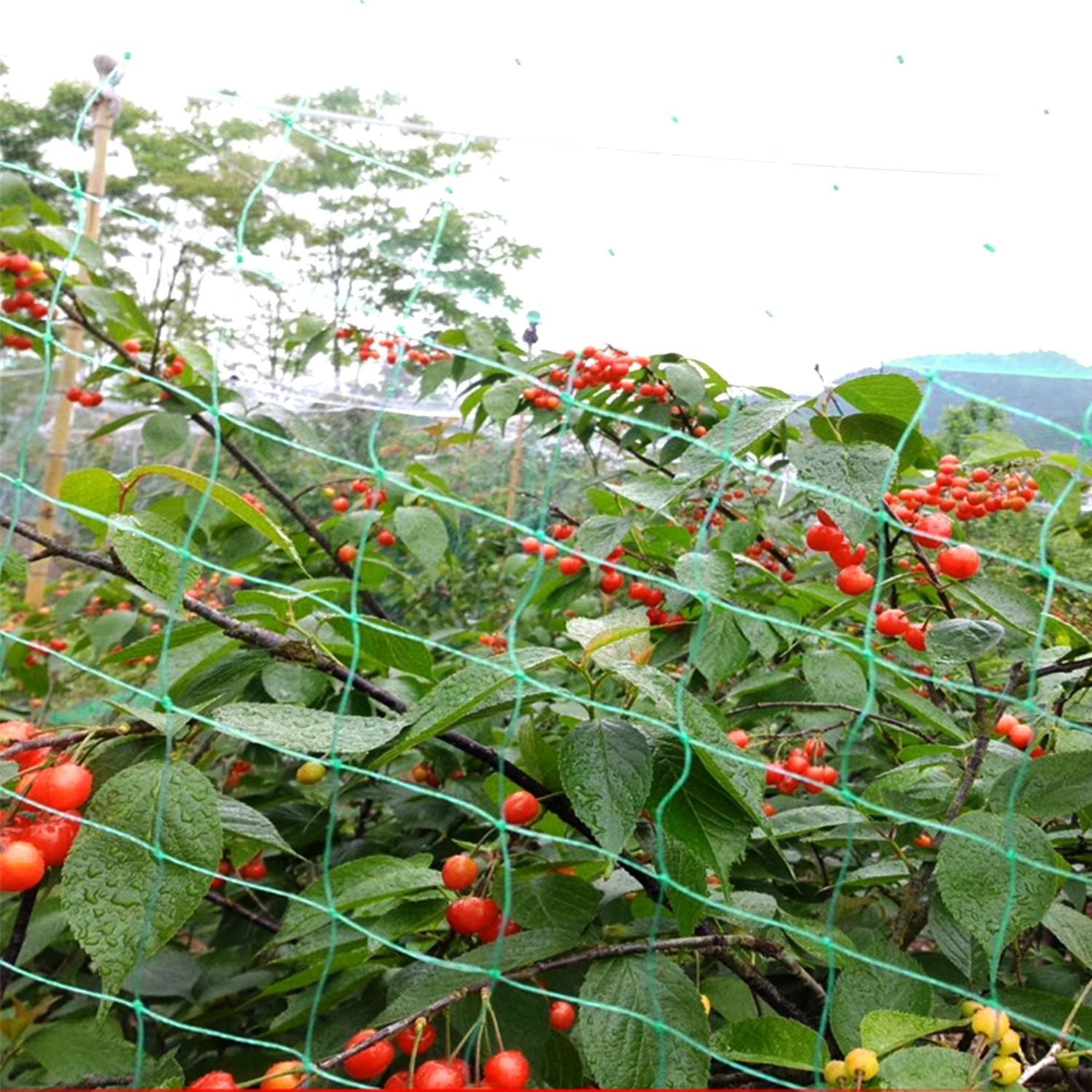 13 x 33ft Garden Netting Heavy Duty PE Anti Bird Netting Plants Fruits Tree Vegetables Protection Netting Net - Renee Lane Company
