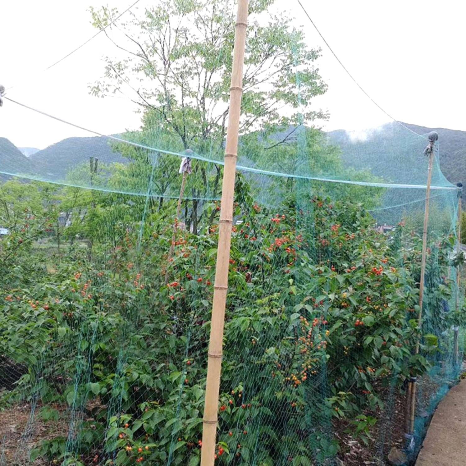 13 x 33ft Garden Netting Heavy Duty PE Anti Bird Netting Plants Fruits Tree Vegetables Protection Netting Net - Renee Lane Company