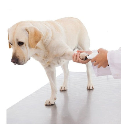 Electric pet nail grinder being used on a light dog paw