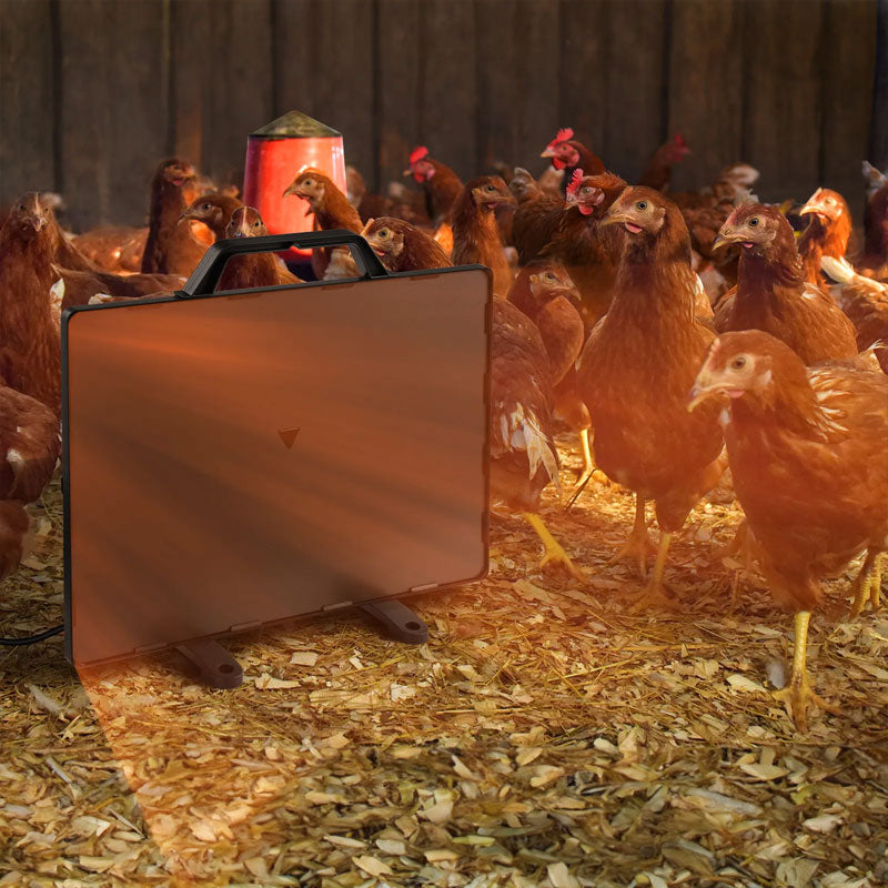 160W Thermostatic Heating Panel for Chicken Coop, 0-99°C Radiant Heater for Poultry Winter Farm - Renee Lane Company