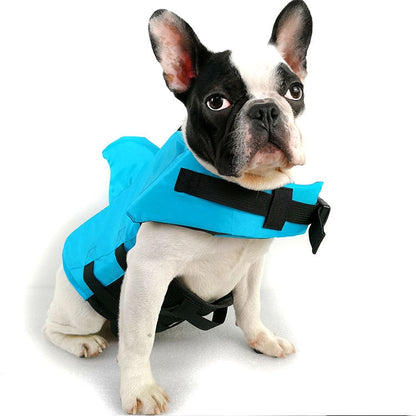 Dog life vest in blue with black straps and front D-ring on a white dog