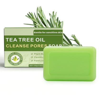 Rounded Corner Tea Tree Soap