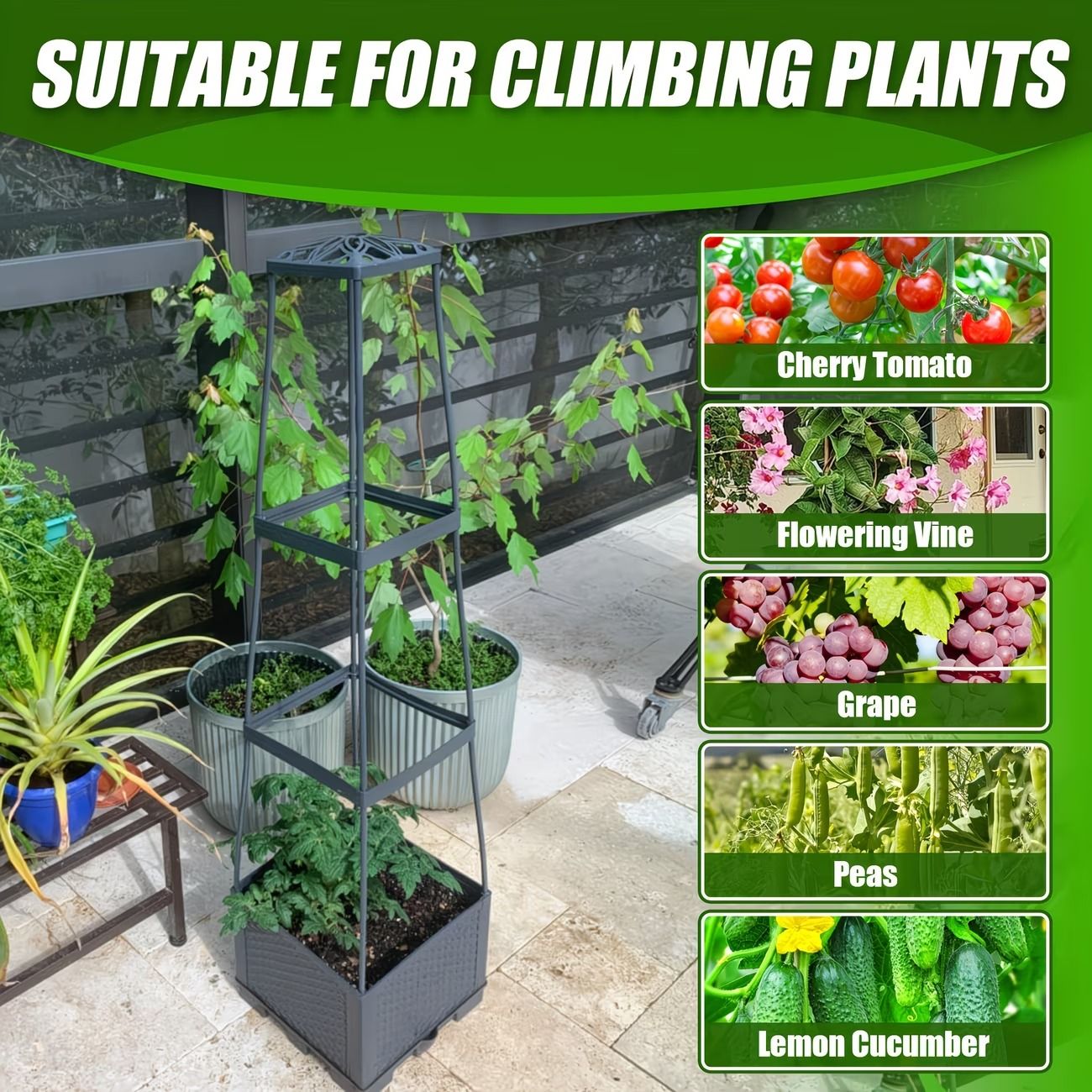 2-Pack 44.8" Self-Watering Tomato Planter with Trellis – Heavy-Duty Indoor & Outdoor Raised Garden Box, Built-in Trapezoid Climbing Grid for Tomatoes, Vegetables & Vining Plants - Renee Lane Company