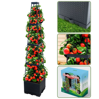2-Pack 44.8" Self-Watering Tomato Planter with Trellis – Heavy-Duty Indoor & Outdoor Raised Garden Box, Built-in Trapezoid Climbing Grid for Tomatoes, Vegetables & Vining Plants - Renee Lane Company