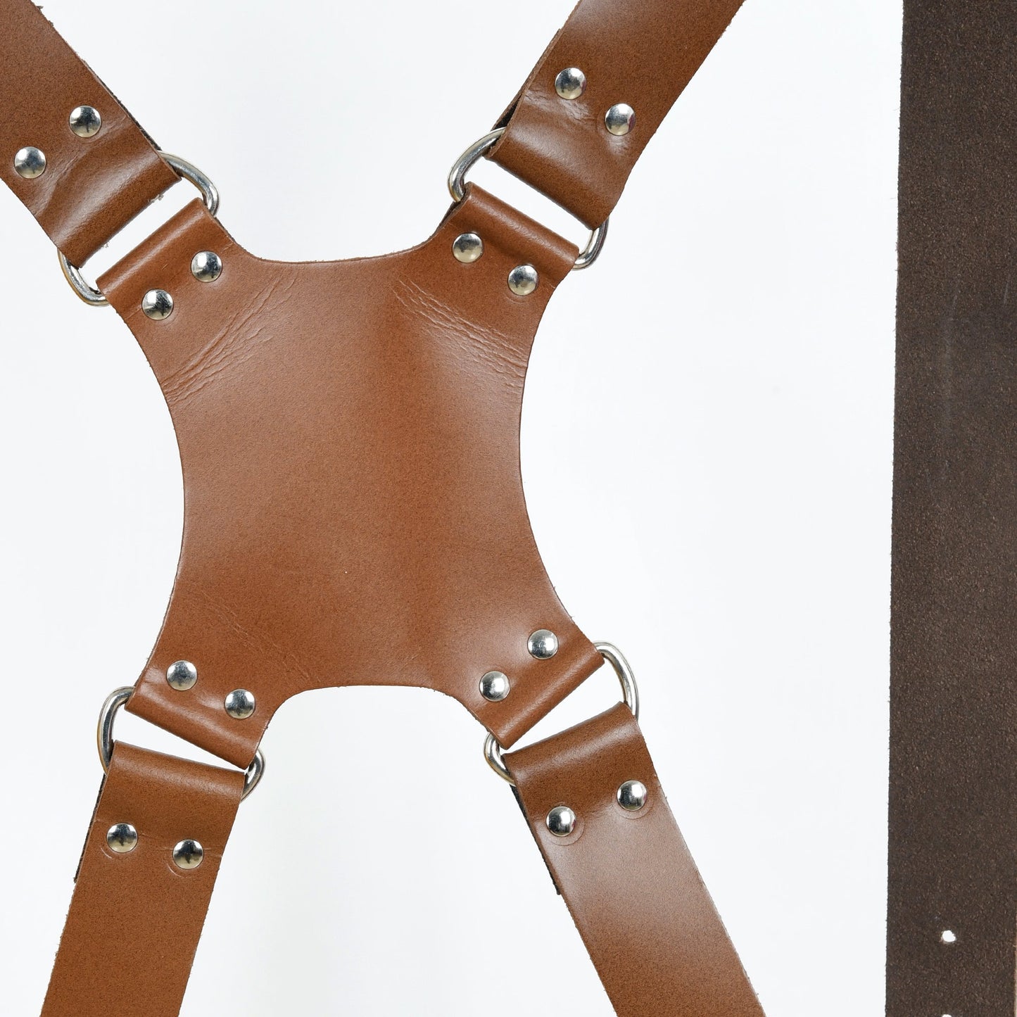Brown leather harness cross straps with silver grommets and metal buckles