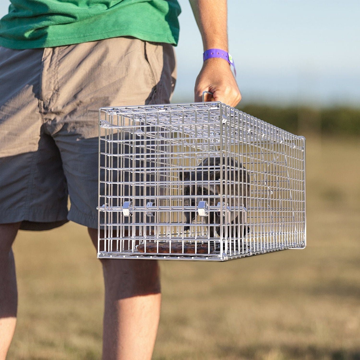25.59Inch Live Humane Animal Trap Cage Heavy Duty Folding Catch And Release Rodent Cage For Rabbit Squirrel Possum Skunk Kitten Raccoon And More GPCT5437 - Renee Lane Company