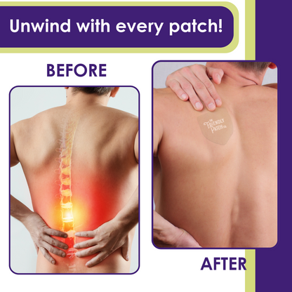 Relief Night Pain Patches: Arnica & Melatonin for Soreness & Sleep - 8 Pack - Renee Lane Company