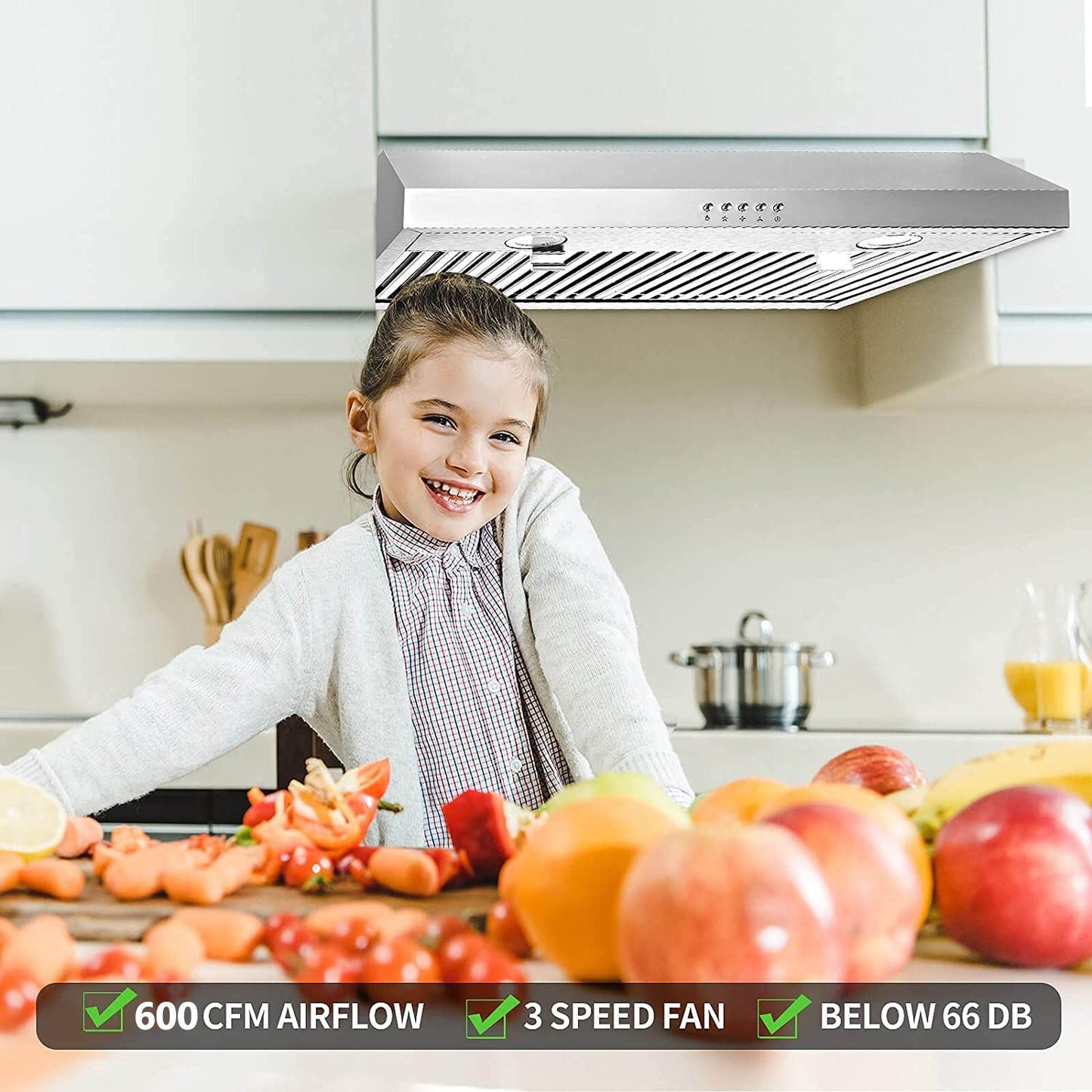 30 inch Kitchen Under Cabinet Range Hood 3-Speed 600CFM Vent w/LEDs Silver/Black - Renee Lane Company