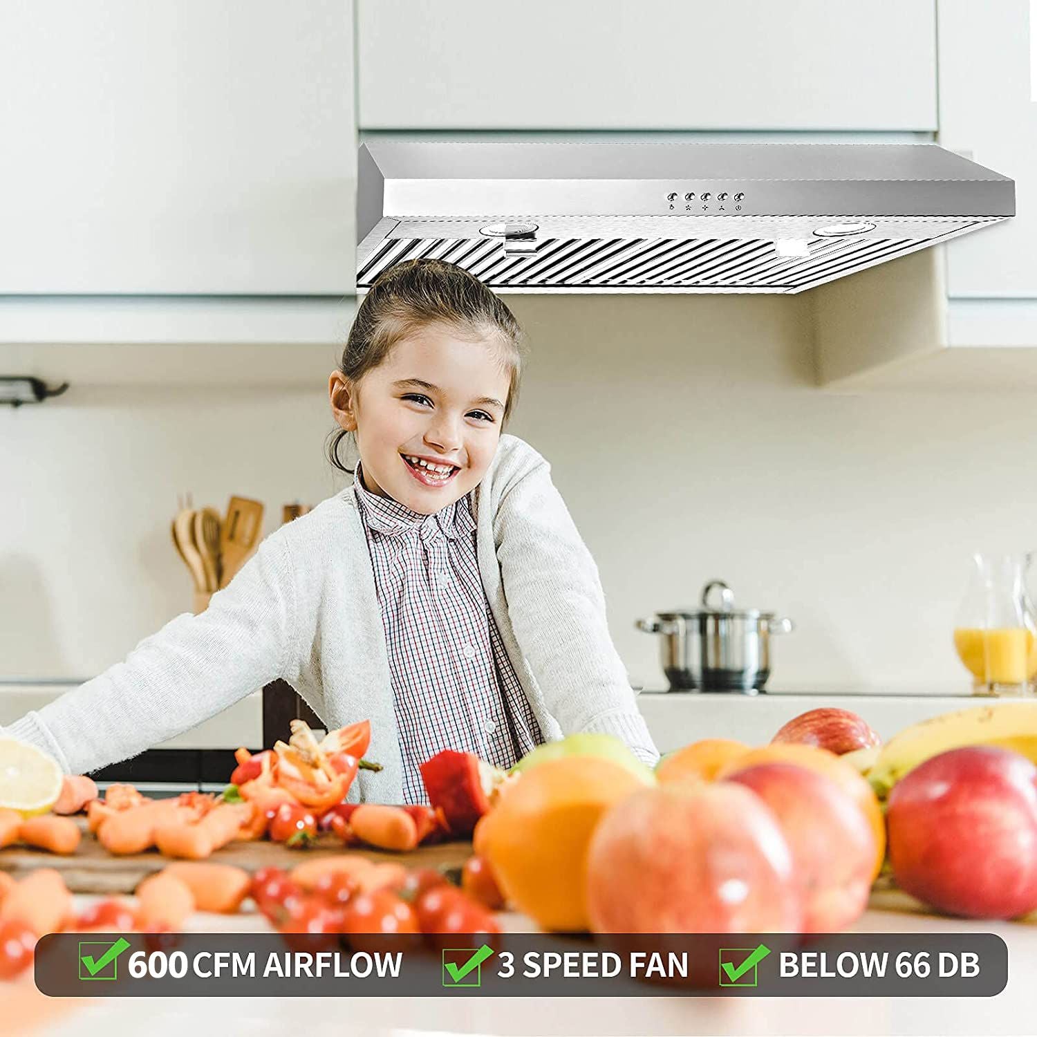 30 inch Kitchen Under Cabinet Range Hood 3-Speed 600CFM Vent w/LEDs Silver/Black - Renee Lane Company