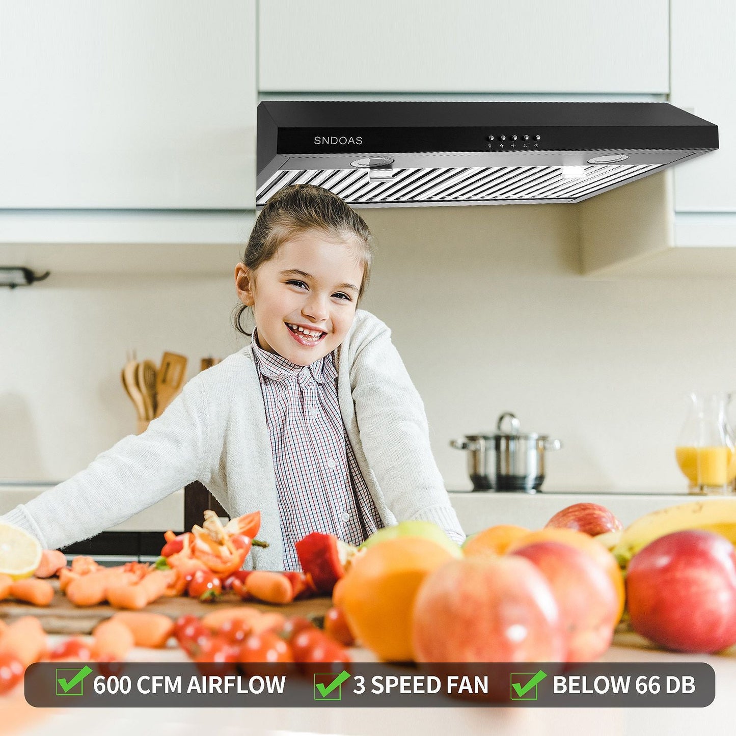 30 inch Kitchen Under Cabinet Range Hood 3-Speed 600CFM Vent w/LEDs Silver/Black - Renee Lane Company