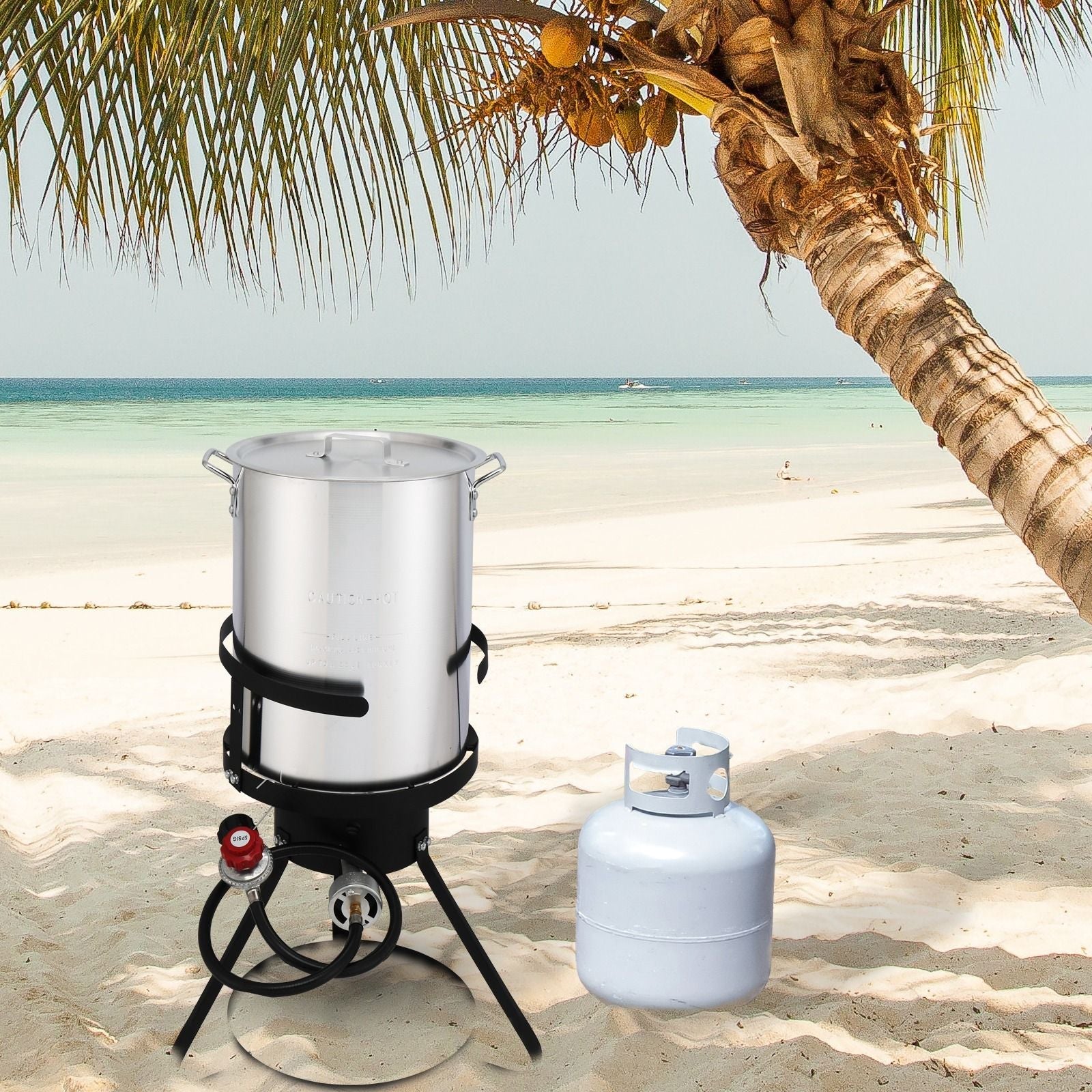 30QT Propane Turkey Fryer Set Silver Aluminum Pot with Black Round Iron Stand Outdoor Gas Deep Fryer Kit for Frying Turkey Seafood and Boiling Crawfish Backyard Cooking Equipment - Renee Lane Company