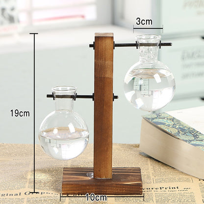 Hydroponic transparent glass plant vases on wooden stand with clear bulbs and size markings