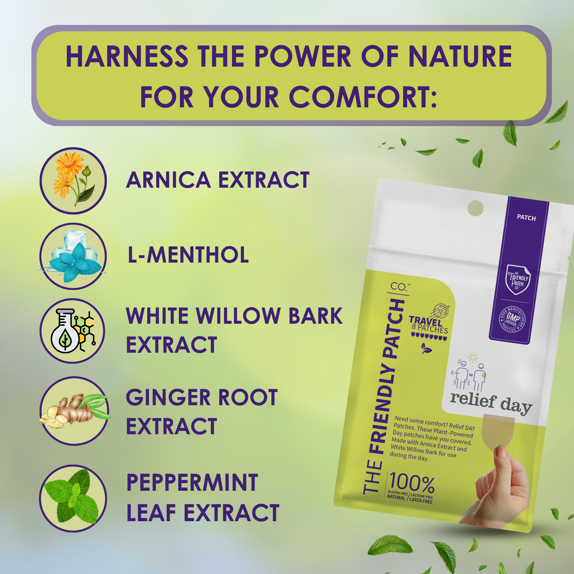 Relief Day Pain Patches: Sustained Arnica & Willow Bark Patches - 8 pack - Renee Lane Company