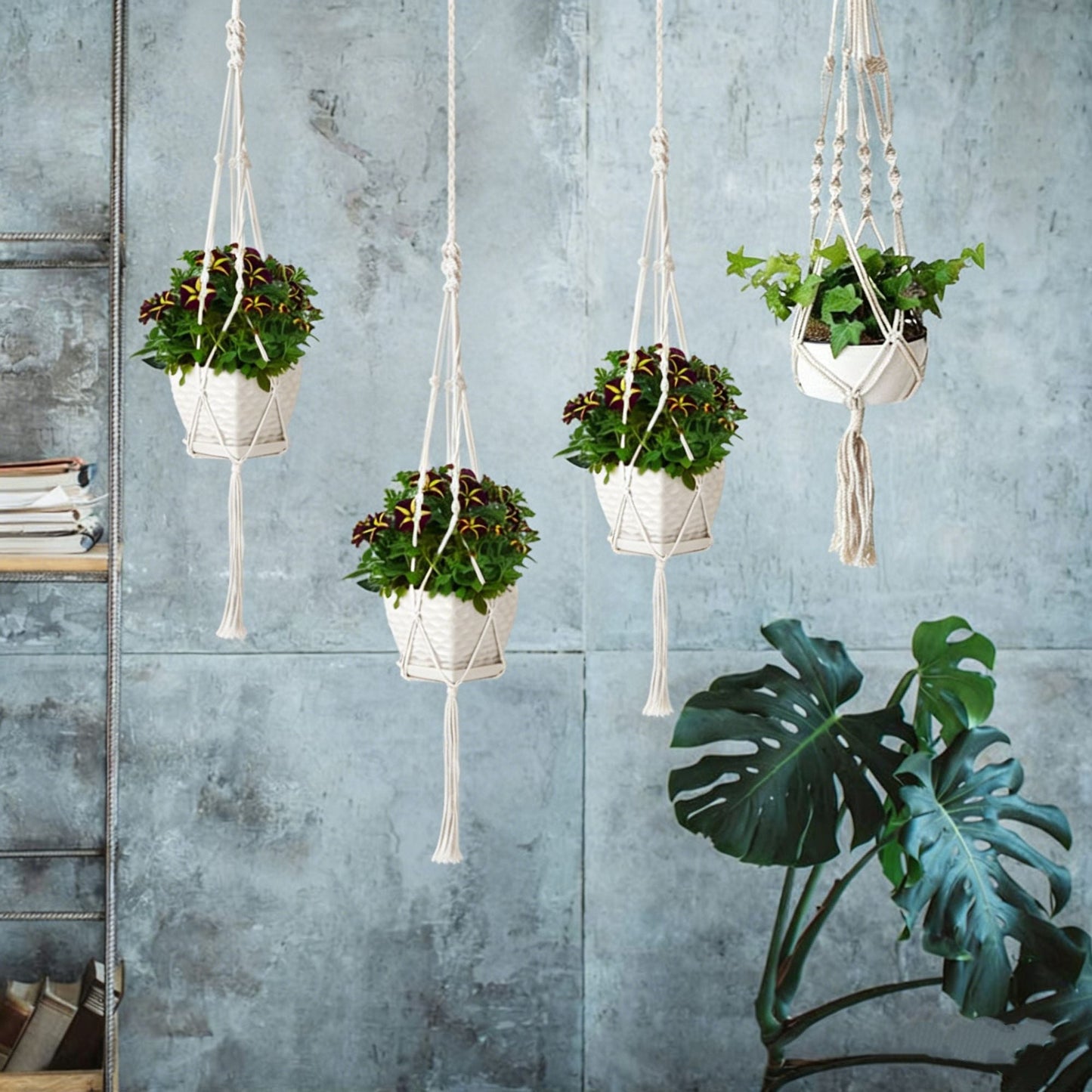 4 PCS Heavy Duty Hanging Plant Holder Natural Cotton Rope Planter Basket with Hanging Ring,Eco-Friendly Hanging Planter Basket Durable Cotton Rope Plant Hanger Space Saving for Indoor Outdoor Garden - Renee Lane Company