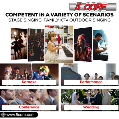 5 Core Microphone XLR Dynamic Mic Karaoke Singing Handheld Microfono Wired Professional Unidirectional 1/4 Plug In Cord Connection for Vocal DJ Music - PM 816 - Renee Lane Company