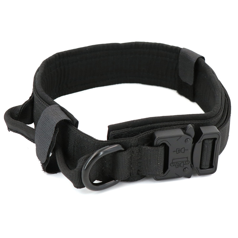 Black dog collar with textured strap, metal buckle, and visible D-ring