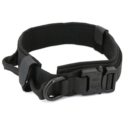 Black dog collar with textured strap, metal buckle, and visible D-ring