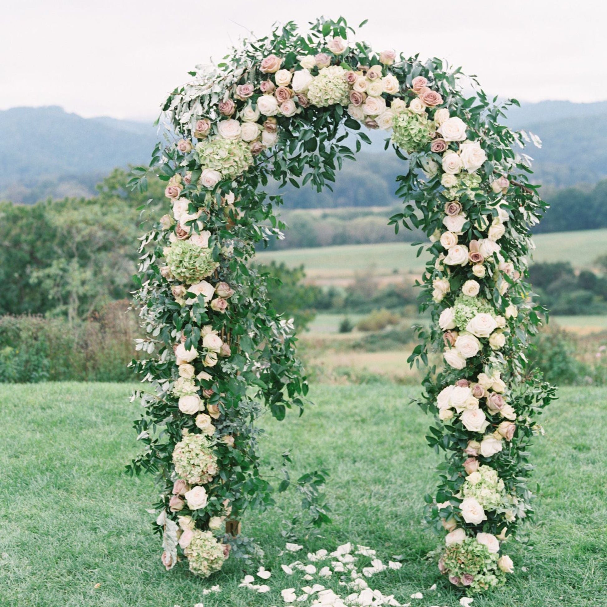 78"H x 45"W Metal Garden Arch Trellis; Adjustable Arbor Trellis for Garden Climbing Plants Support or Wedding Decor,Black - Renee Lane Company